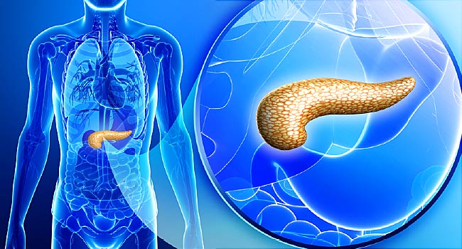 la salud del pancreas